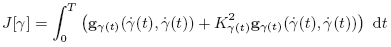 $J[\gamma]=\int_0^T \left({\g}_{\gamma(t)}(\dot\gamma(t),\dot\gamma(t))+ K^2_{\gamma(t)}{\g}_{\gamma(t)}(\dot\gamma(t),\dot\gamma(t)) \right) ~{\rm d}t$